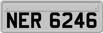 NER6246