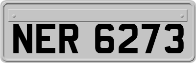 NER6273