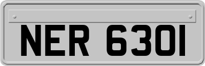 NER6301