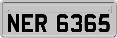 NER6365