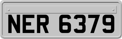 NER6379