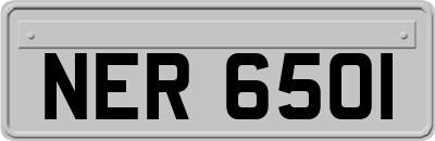 NER6501