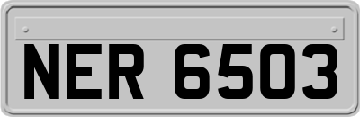 NER6503