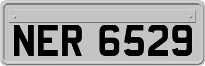 NER6529