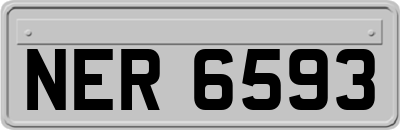 NER6593