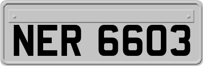 NER6603