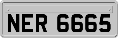 NER6665