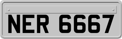 NER6667