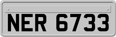 NER6733