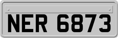 NER6873