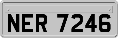 NER7246