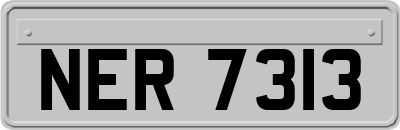 NER7313