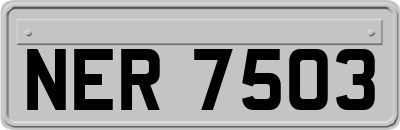 NER7503