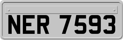 NER7593