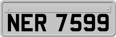 NER7599