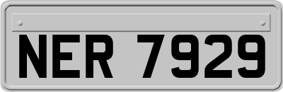 NER7929