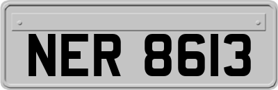 NER8613