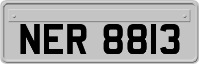 NER8813