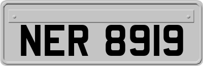 NER8919