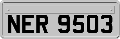 NER9503