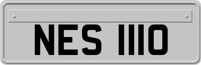 NES1110