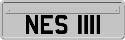 NES1111