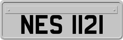 NES1121