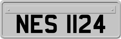 NES1124