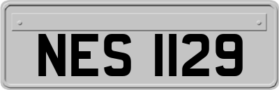 NES1129