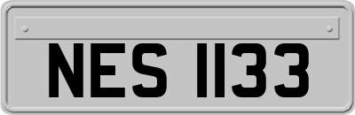 NES1133