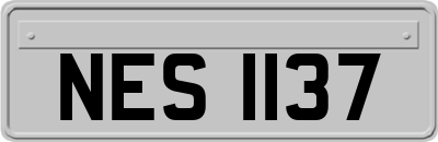 NES1137