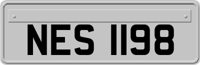 NES1198