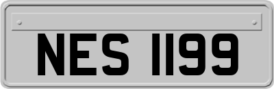 NES1199