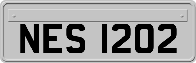 NES1202