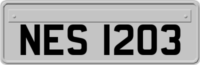 NES1203