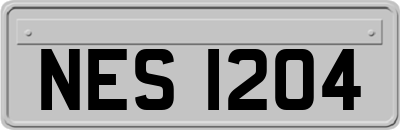 NES1204