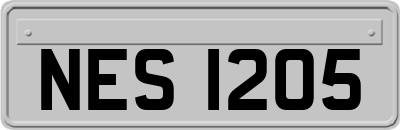 NES1205