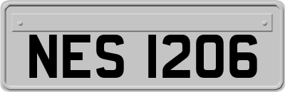 NES1206