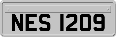 NES1209