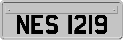 NES1219