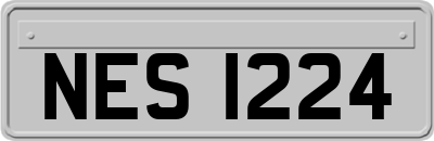 NES1224