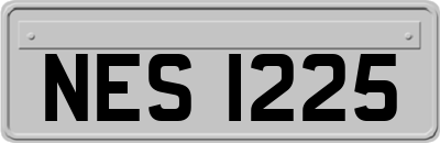 NES1225