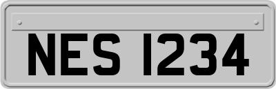 NES1234