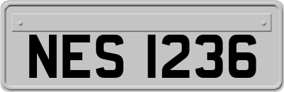 NES1236