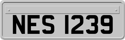 NES1239