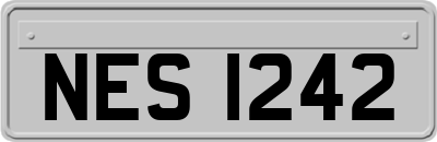 NES1242