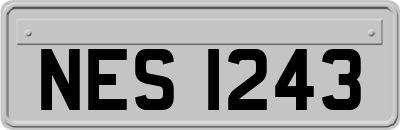 NES1243