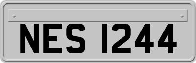 NES1244