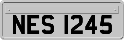 NES1245