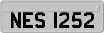 NES1252